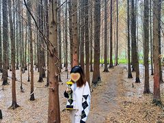 -桤木河湿地公园