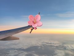 -曼谷素万那普国际机场
