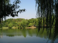 -圩墩遗址公园