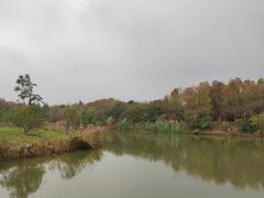 -南湖湿地公园