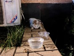 -阿婆潮汕砂锅粥(王府大街店)