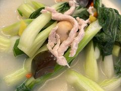 -OLD TREE老树咖啡·西餐厅(台山人工湖店)