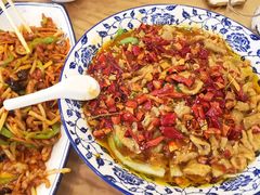 -津津乐乐