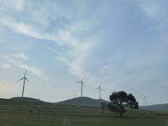 -御道口草原森林风景区