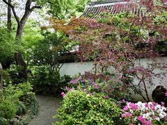 -上海醉白池公园