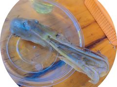 -为民烧烤吧.自贡爆炒菜(收录10年好店)