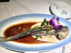 -33号大院·青岛本帮菜(五四广场店)