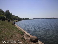-丁香湖公园