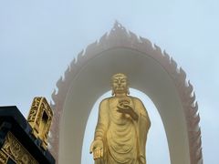 -庐山风景名胜区-东林大佛