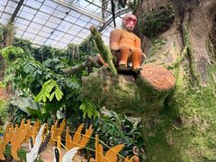 -呀路古热带植物园