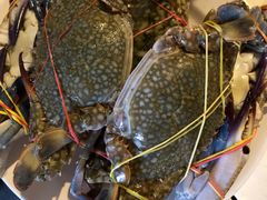 -芭提雅Amporn Seafood自助餐厅