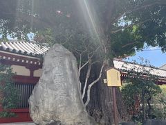 -浅草寺