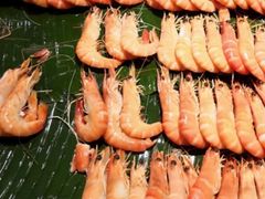 -五月罗马海鲜自助餐厅(陆家嘴店)