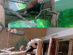 -常州淹城野生动物世界