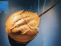 -浙江自然博物院(杭州馆)