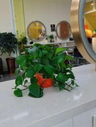 -SY水源护肤造型