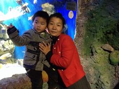 -洛阳龙门海洋馆