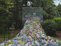 -上海共青森林公园