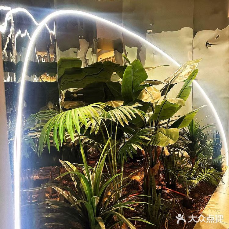 武汉Citywalk挖到宝！治愈系西餐厅直接封神！