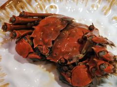 特色熟醉大闸蟹-十碗(保利店)