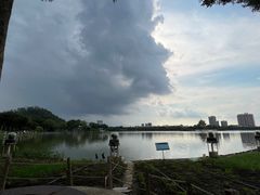 -顺峰山公园
