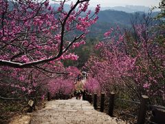-天台山赤城山景区