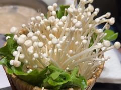 -红鼎豆捞·非遗鲍皇汤火锅(宝丰路店)