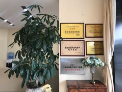 门面-上海锦妍医疗美容门诊部