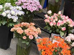 -循礼门鲜花花市(武汉循礼门店)