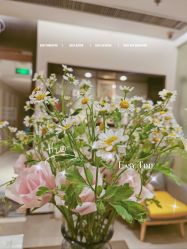 -Oasis Beauty水磨坊科技美肤中心