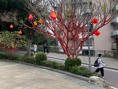 -金鸡山公园