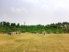 -秀丽东方