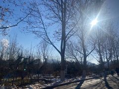 -石家庄市动物园