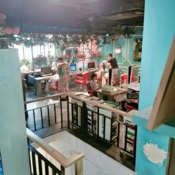 点击看大图 -金棕榈