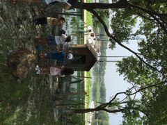 美帆游艇俱乐部-上海美帆帆船露营基地