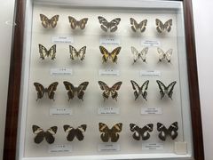 -陕西自然博物馆