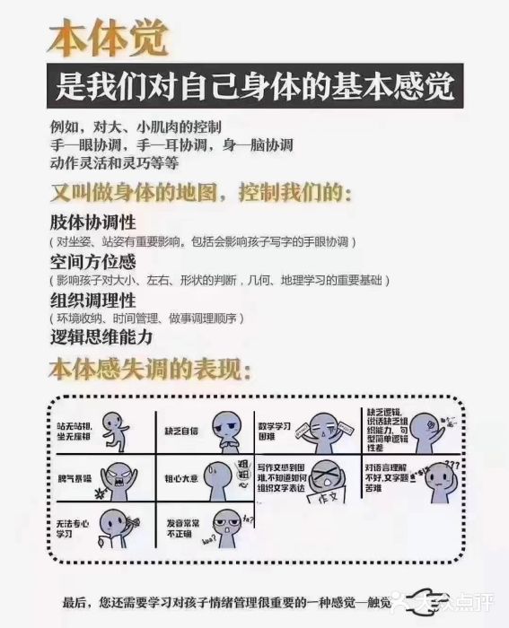 金色雨林学习力培优(专注力提升)图片