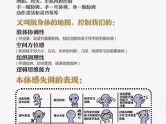 -金色雨林学习力培优(专注力提升)