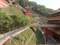 -东莞市大岭山森林公园