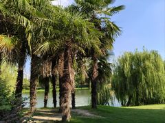 -南通濠河风景名胜区