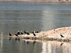 -千岛湖城中湖游船码头