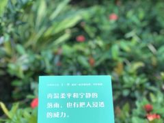 -福田红树林生态公园