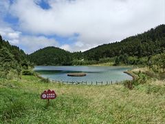 -武陵山森林公园