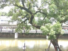 -广东胜利宾馆西关粤中餐厅