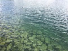 iphone_upload_pic-卢塞恩湖