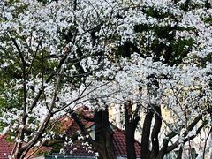 -徐家汇源景区-衡山公园