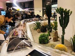 -OUR Bakery(SKP-S店)