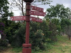 -天适樱花悠乐园