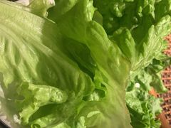 -一品诚记烤肉(大连柏威年购物中心店)