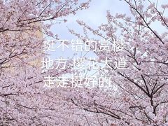 -高东镇樱花园
